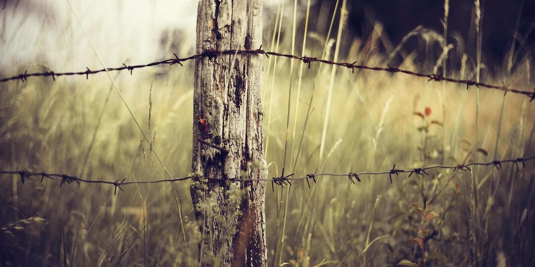 Riktlinjer för spelinsatsgränser